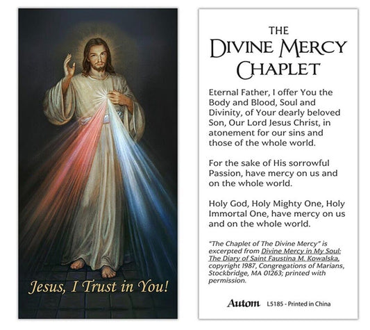 Divine Mercy Prayer Card + Medal & 20" Chain, New #AB-088 - Bob and Penny Lord