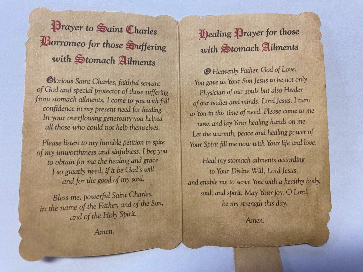 Saint Charles Borromeo, Prayer Card & Medal, New - Bob and Penny Lord
