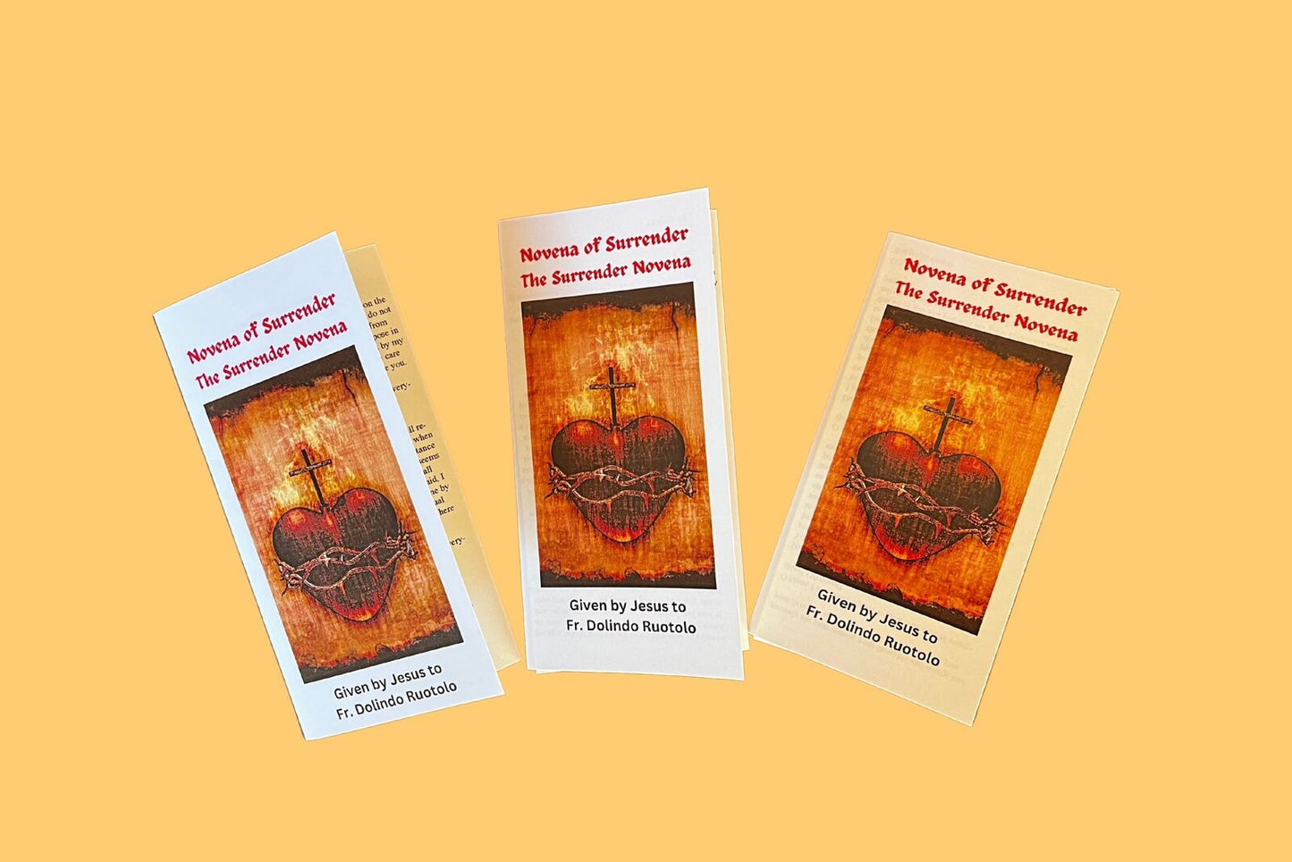 Surrender - Large Print Novena of Surrender to the Will of God Trifold Holy Card Packages