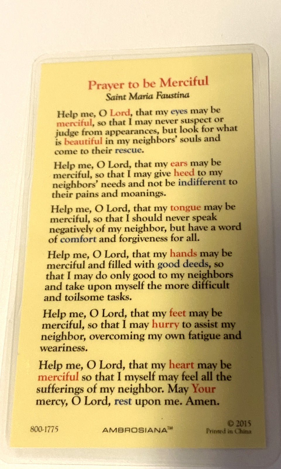 Saint Sister Faustina Laminated Prayer Card, New - Bob and Penny Lord