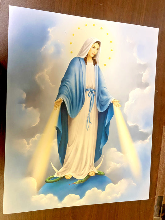 Our Lady of Grace 16" x 20" Poster, New. # - Bob and Penny Lord