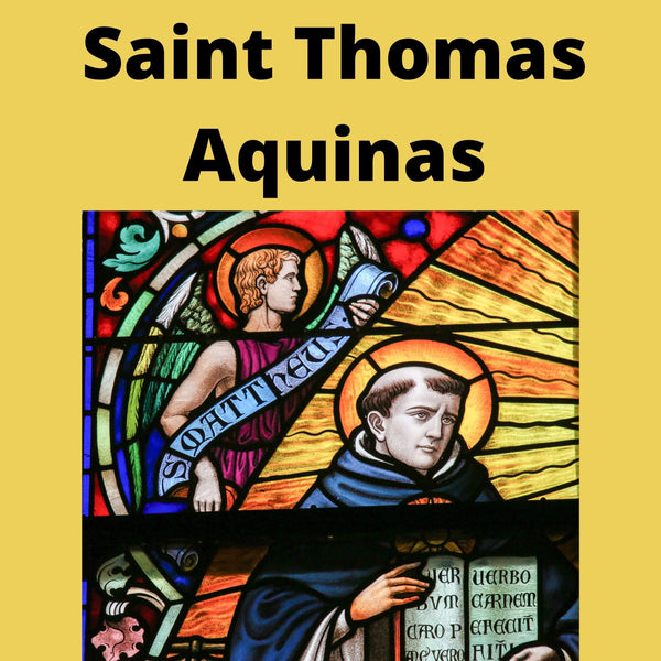 Saint Thomas Aquinas Video Download MP4 - Bob and Penny Lord
