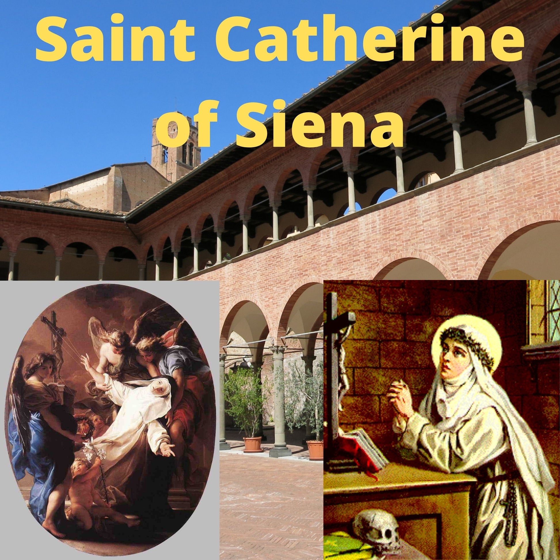 Saint Catherine of Siena DVD - Bob and Penny Lord