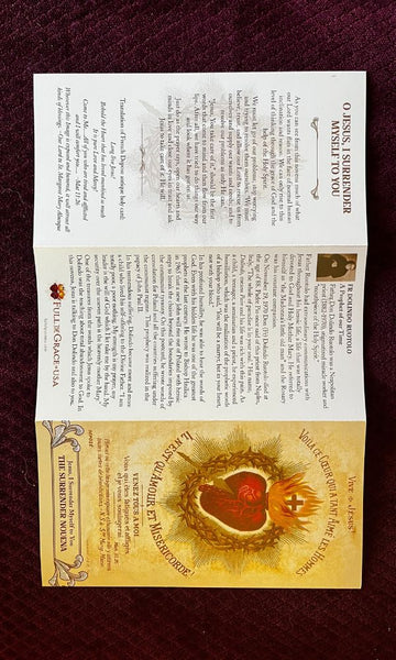 3Pack Large Print Novena of Surrender to the Will of God Trifold Holy Cards - Bob and Penny Lord