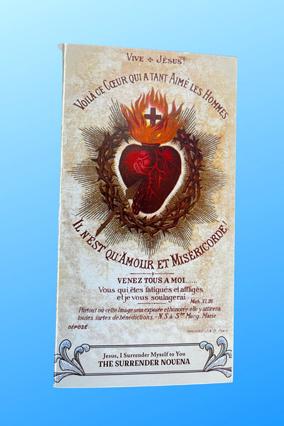 5Pack Novena of Surrender to the Will of God Trifold Holy Card - Bob and Penny Lord
