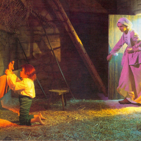 Saint John Vianney - Cure of Ars DVD - Bob and Penny Lord