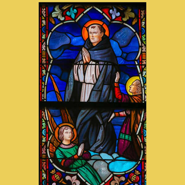 Saint Thomas Aquinas DVD - Bob and Penny Lord