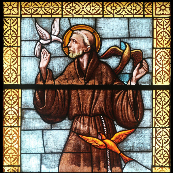 Saint Francis of Assisi Video Download MP4 - Bob and Penny Lord