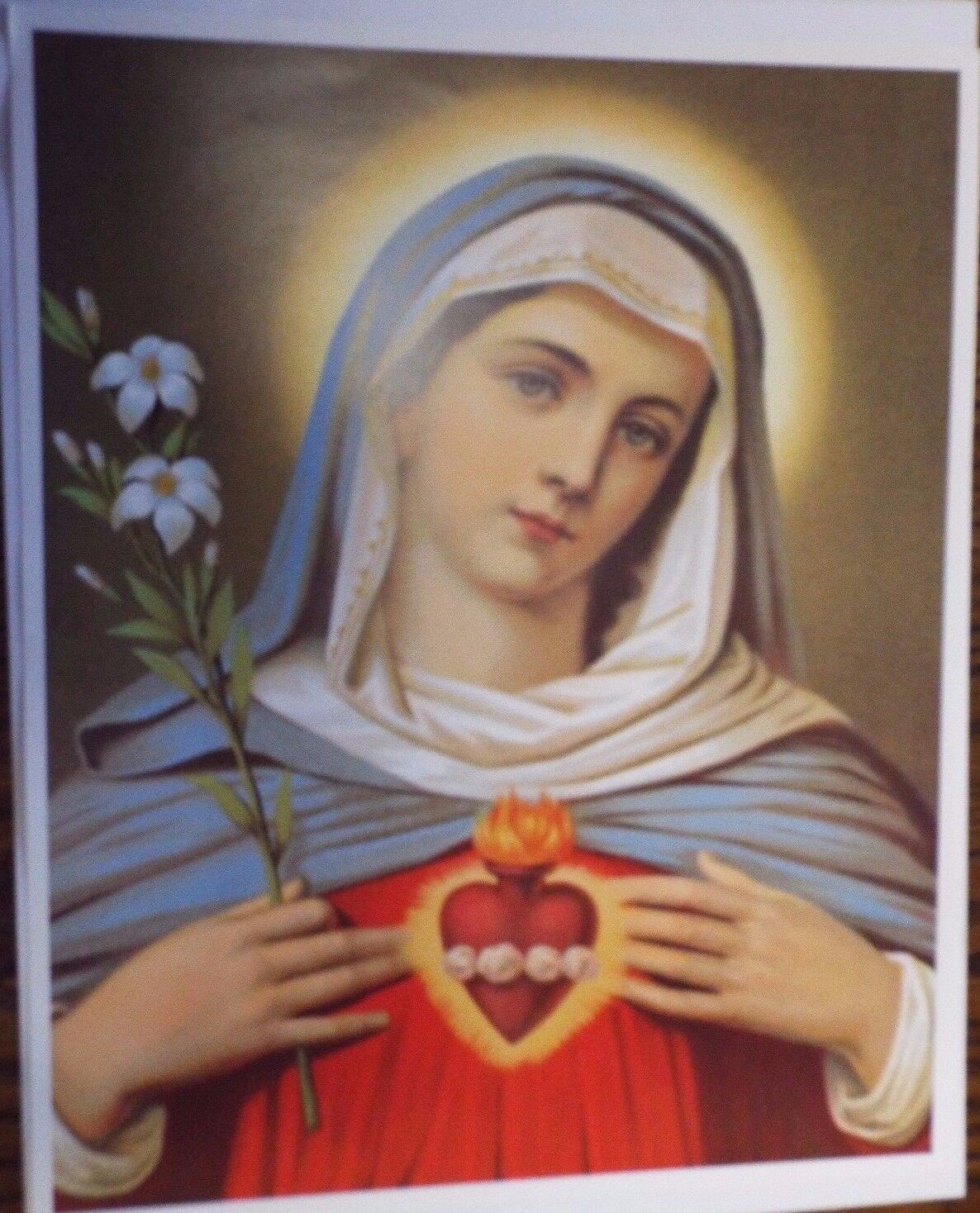 Immaculate Heart of Mary,  8x10 Print,New
