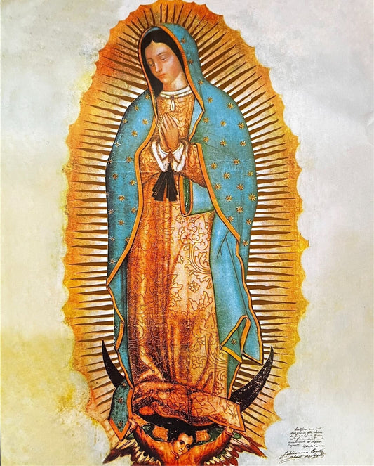 Our Lady of Guadalupe 8 by 10 Image - Bob and Penny Lord