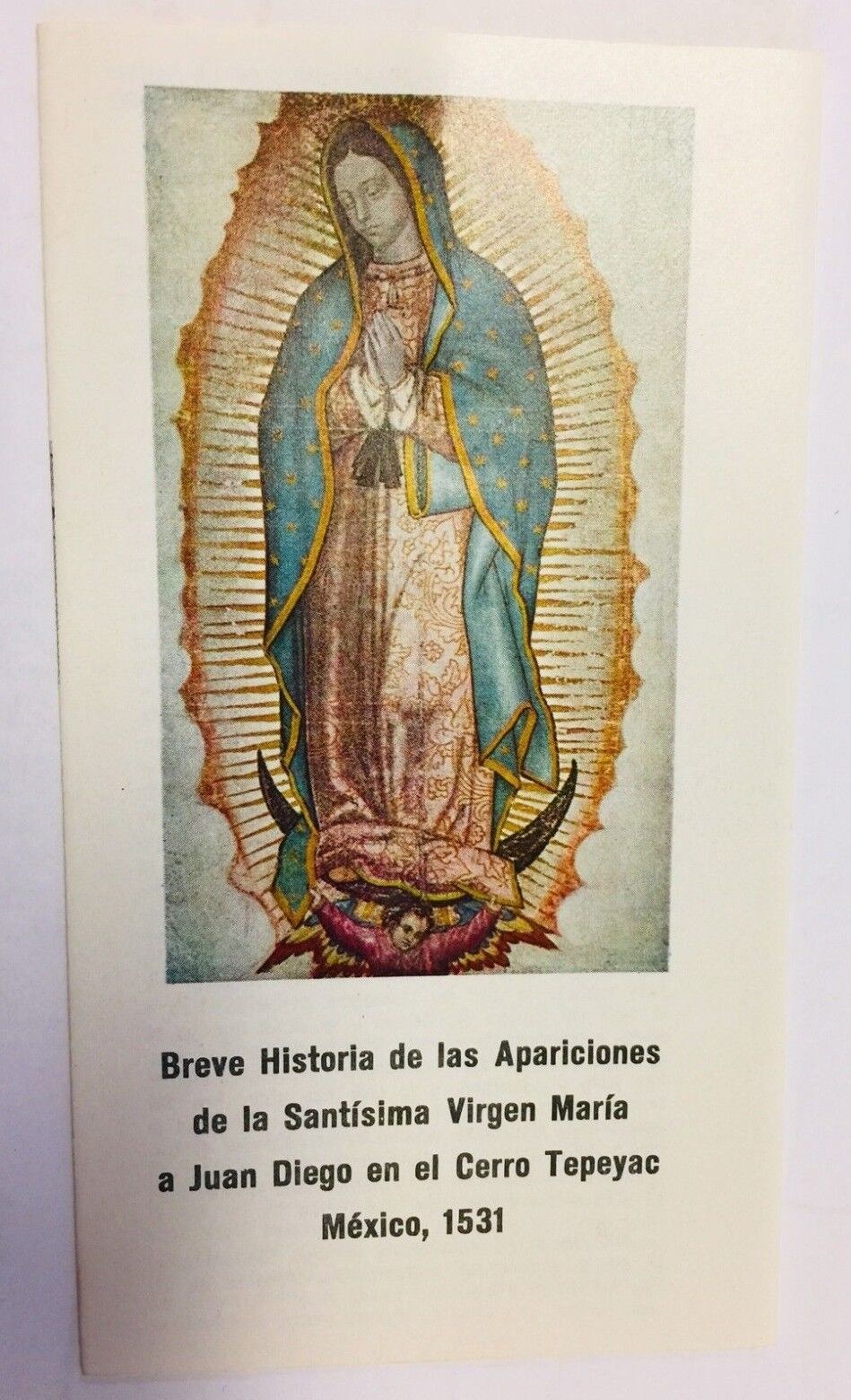 Breve Historia de las Apariciones de La Virgen de Guadalupe, en Español
