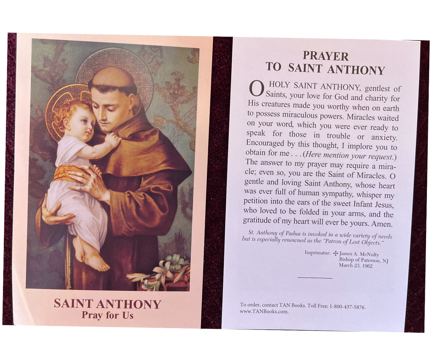 Saint Anthony of Padua Prayer Card for Anxiety - Bob and Penny Lord