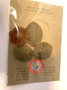 Saint Francis of Assisi Rose from the Rose Garden , New from Italy