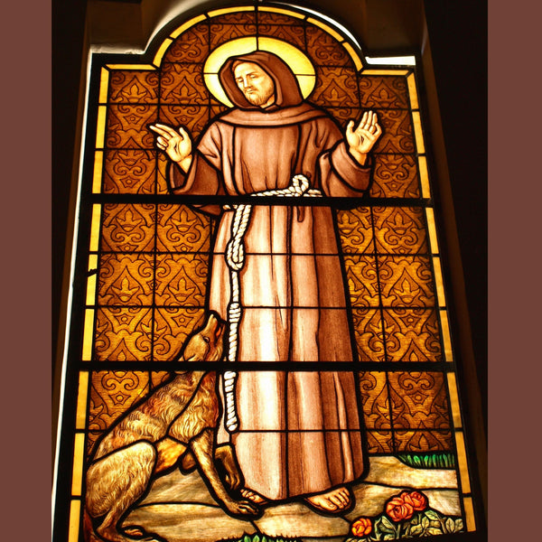 Saint Francis of Assisi Video Download MP4 - Bob and Penny Lord