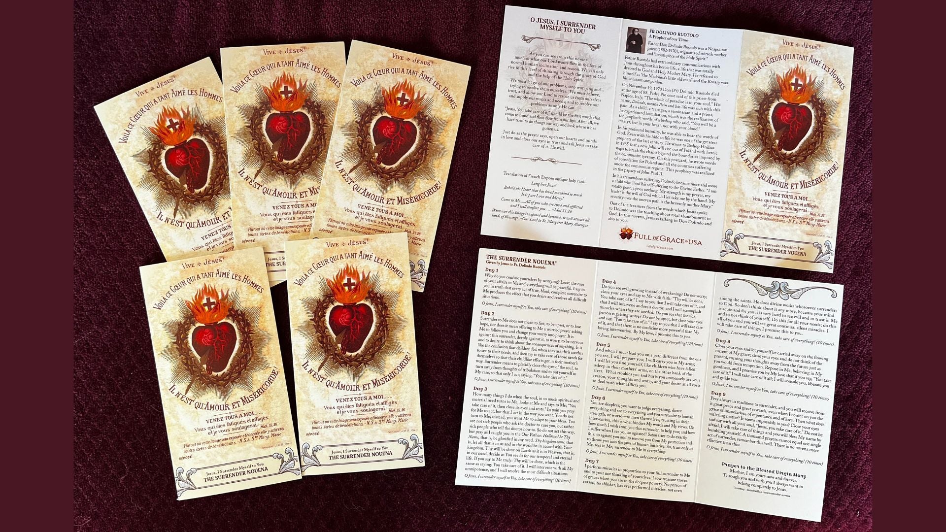 5Pack Novena of Surrender to the Will of God Trifold Holy Card - Bob and Penny Lord