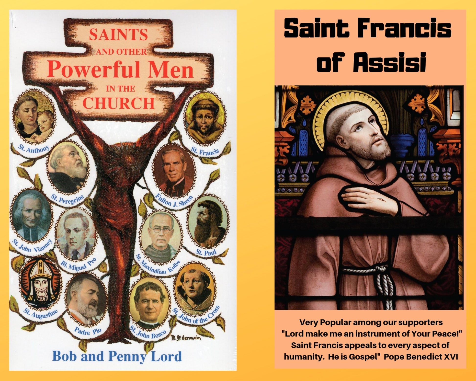 Saints and Other Powerful Men Book and Companion Saint Francis of Assisi DVD - Bob and Penny Lord