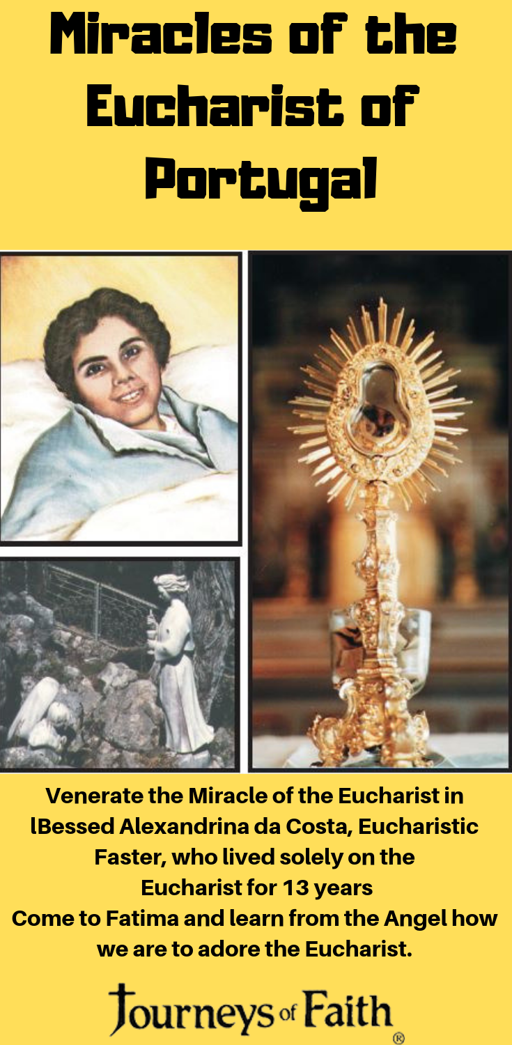 Miracles of the Eucharist of Portugal DVD - Bob and Penny Lord