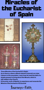 Miracles of the Eucharist of Spain DVD - Bob and Penny Lord