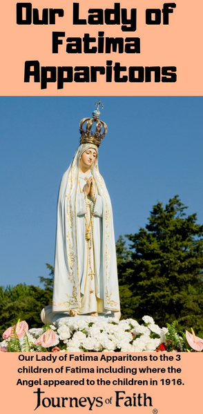 Many Faces of Mary Apparitions 19 DVDS Discounted Bundle - Bob and Penny Lord