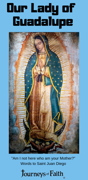 Many Faces of Mary Apparitions 19 DVDS Discounted Bundle - Bob and Penny Lord
