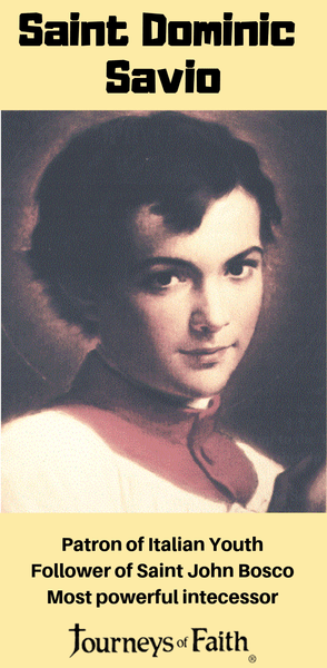 Holy Innocence - The Young and the Saintly Book - Bob and Penny Lord