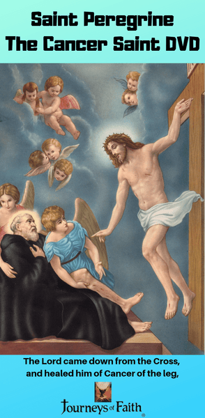 Saints and Other Powerful Men in the Church Book - Bob and Penny Lord