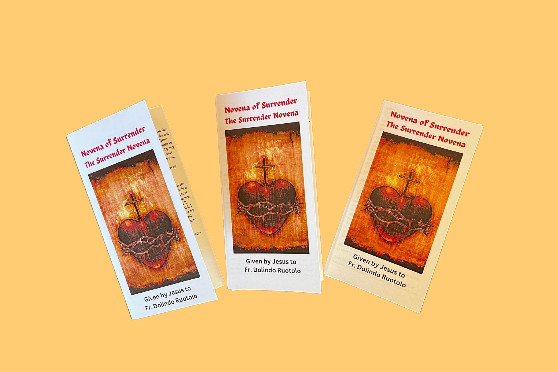 Surrender Novena to the Will of God Trifold Holy Card Packages - Bob and Penny Lord
