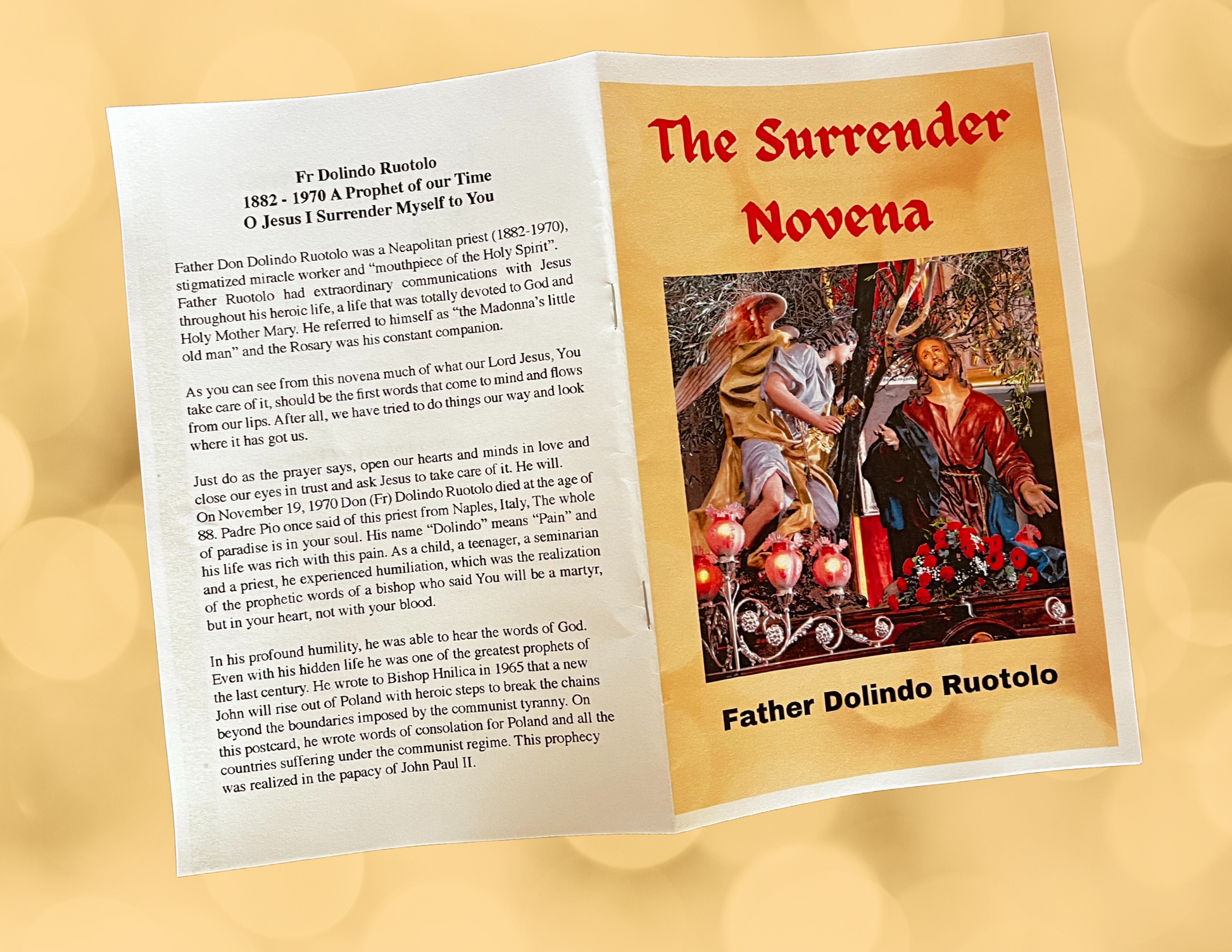 The Surrender Novena Booklet - Bob and Penny Lord